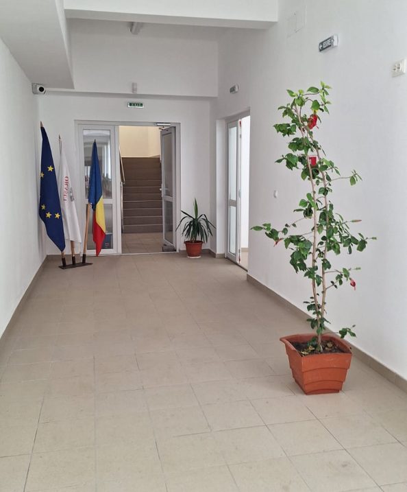 straie de sarbatoare (5)